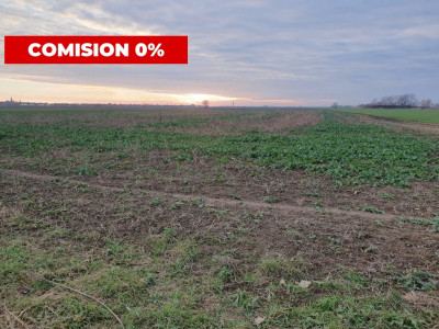 COMISION 0% Teren extravilan agricol 10.000 mp la sosea in Sag imagine mica 5, foxfort.ro