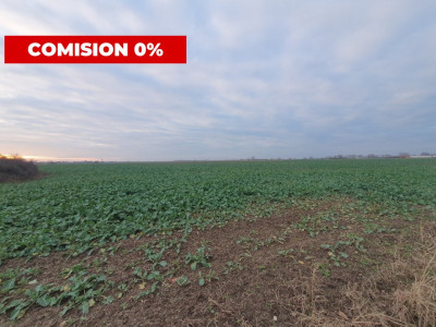COMISION 0% Teren extravilan agricol 10.000 mp la sosea in Sag imagine mica 6, foxfort.ro