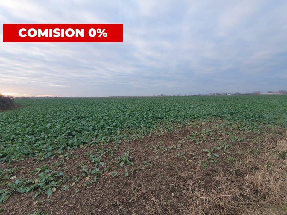 COMISION 0% Teren extravilan 20.000 mp la sosea in Sag  1, foxfort.ro