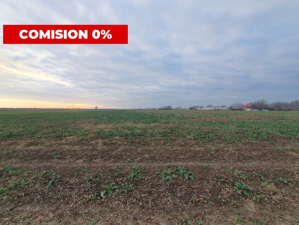 COMISION 0% Teren extravilan 20.000 mp la sosea in Sag  3, foxfort.ro