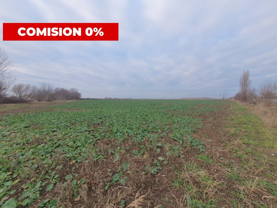 COMISION 0% Teren extravilan 20.000 mp la sosea in Sag  5, foxfort.ro