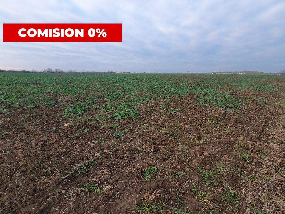 COMISION 0% Teren extravilan 20.000 mp la sosea in Sag  6, foxfort.ro