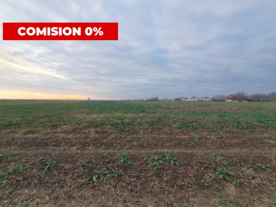 COMISION 0% Teren extravilan 20.000 mp la sosea in Sag imagine mica 3, foxfort.ro