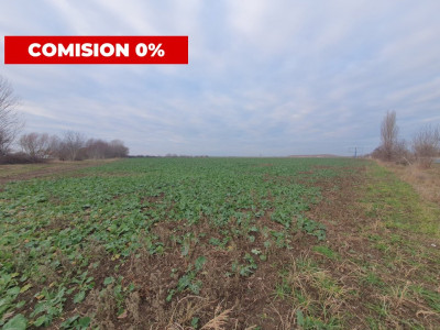 COMISION 0% Teren extravilan 20.000 mp la sosea in Sag imagine mica 5, foxfort.ro