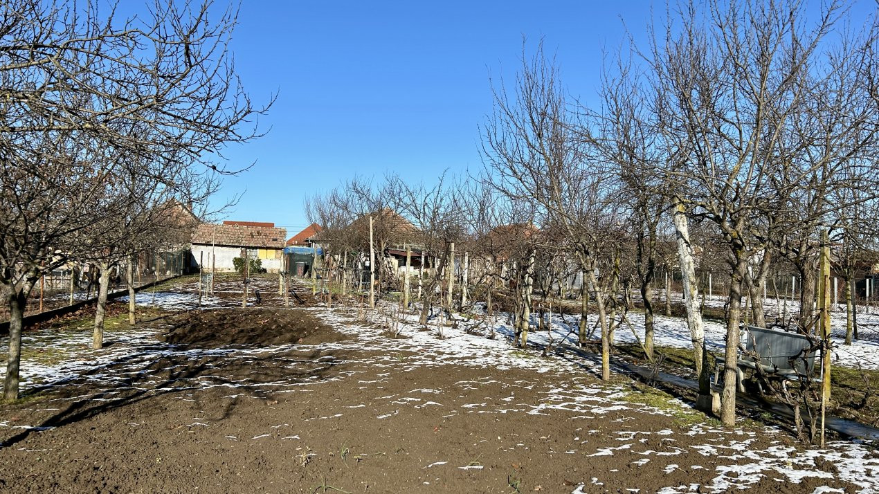 Casa 5 camere + teren 1845 mp Sanandrei 2, foxfort.ro
