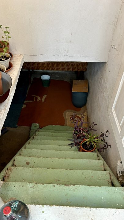 Casa 5 camere + teren 1845 mp Sanandrei 16, foxfort.ro