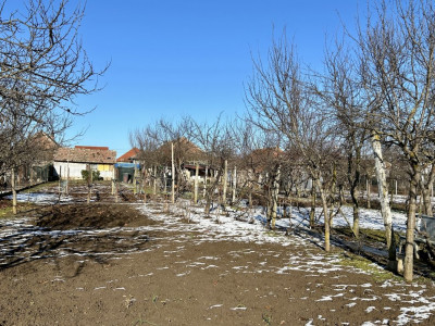 Casa 5 camere + teren 1845 mp Sanandrei imagine mica 2, foxfort.ro