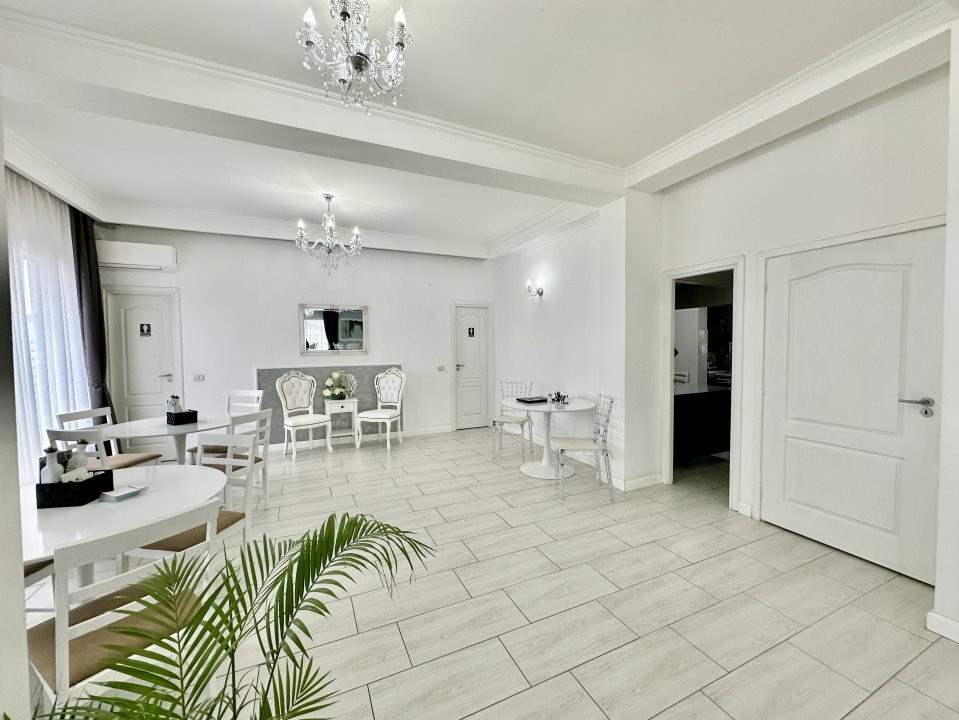 Spatii comerciale de vanzare Mosnita Noua 11