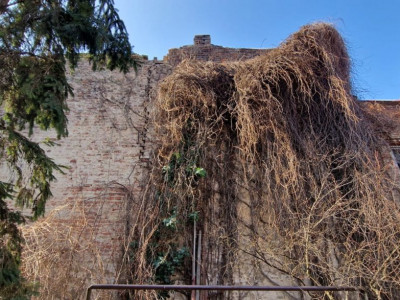 COMISION 0% Apartament la casa cu 2 camere, zona Sinaia  imagine mica 14, foxfort.ro