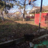 Casa individuala de vanzare in Timisoara - Oportunitate exploatare teren thumb 2