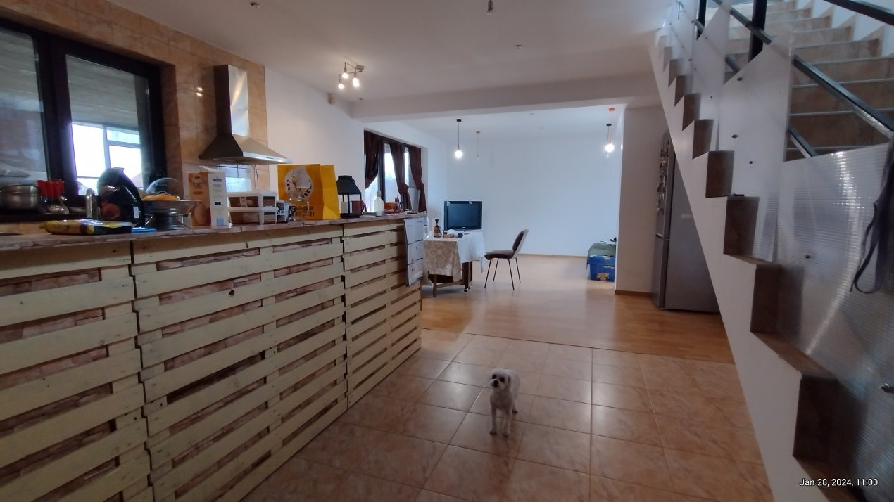 Casa 8 camere ,Sacalaz-Ideala pentru 2 familii 14, foxfort.ro