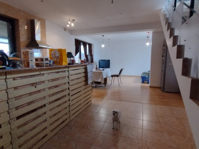 Casa 8 camere ,Sacalaz-Ideala pentru 2 familii imagine mica 14, foxfort.ro