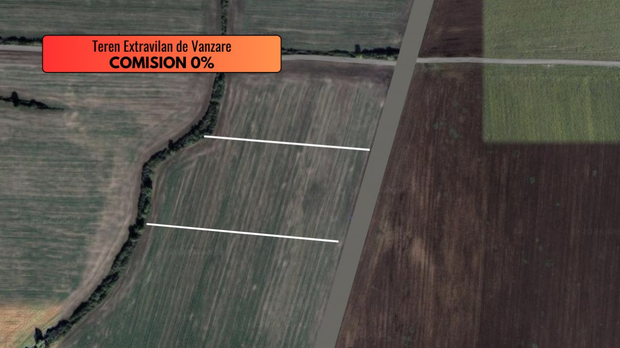 COMISION 0% Teren extravilan de vanzare in Sacalaz  2, foxfort.ro