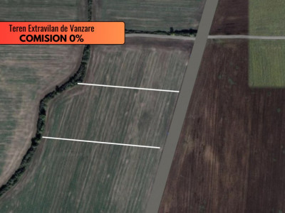 COMISION 0% Teren extravilan de vanzare in Sacalaz imagine mica 2, foxfort.ro