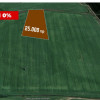 COMISION 0% Teren extravilan agricol de vanzare in Timisoara, zona Mehala thumb 1