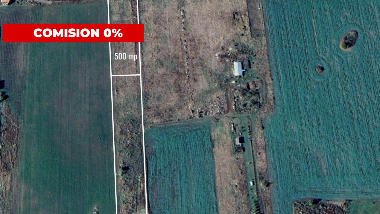 COMISION 0%-Teren de vanzare in Sacalaz - Pretabil constructii, front 24m 1, foxfort.ro