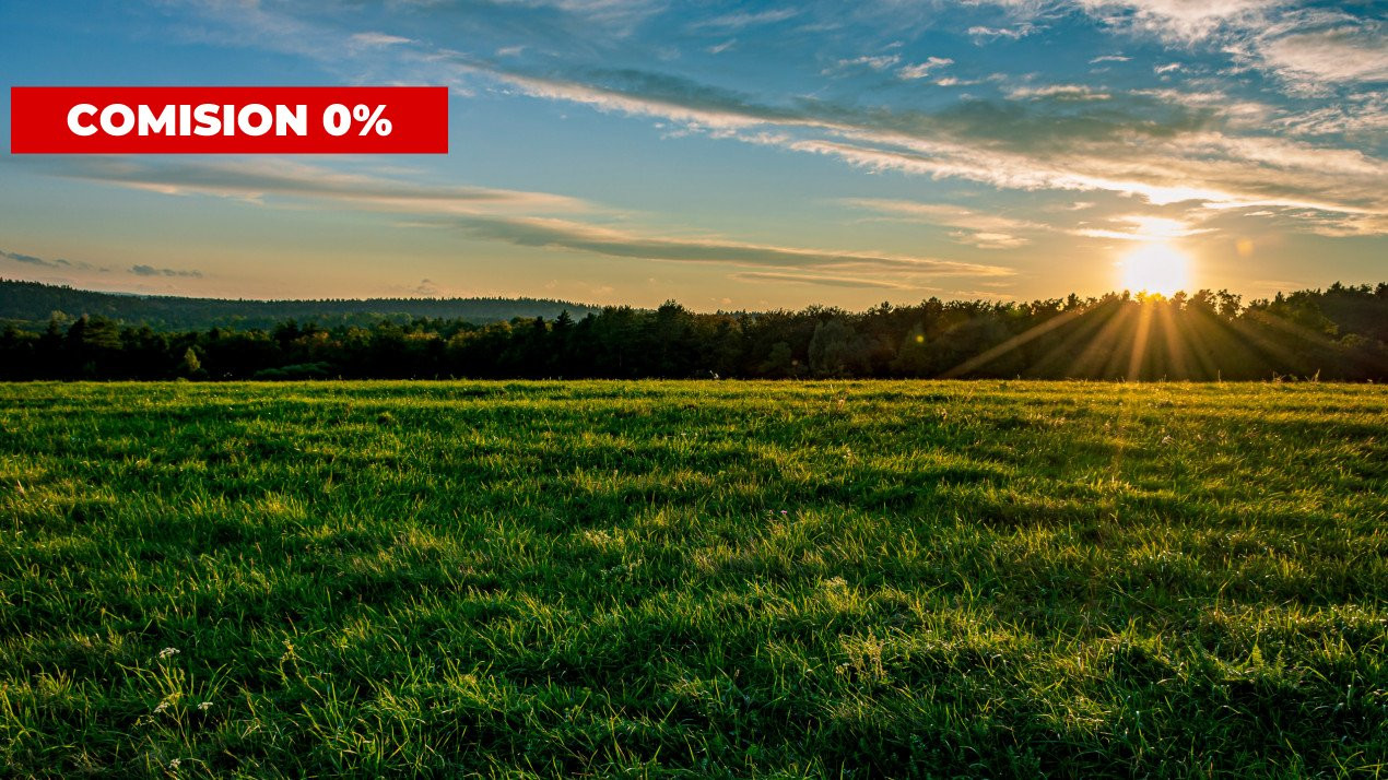 COMISION 0%-Teren de vanzare in Sacalaz - Pretabil constructii, front 24m 3, foxfort.ro