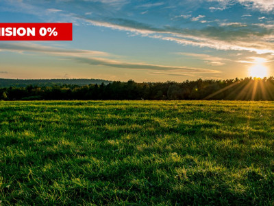 COMISION 0%-Teren de vanzare in Sacalaz - Pretabil constructii, front 24m imagine mica 3, foxfort.ro