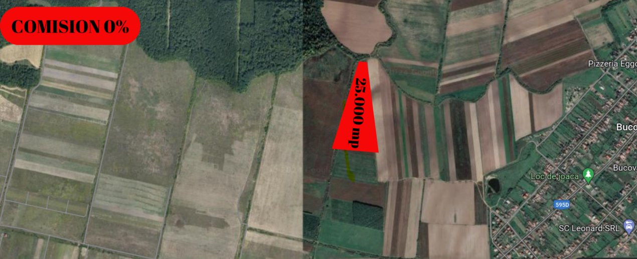 COMISION 0% Teren extravilan Mosnita in zona de Padurea Bistra - 25.000 mp 3, foxfort.ro