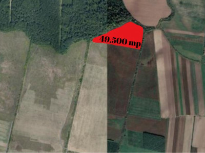 COMISION 0% Teren extravilan Mosnita in zona de Padurea Bistra - 49.500 mp imagine mica 2, foxfort.ro