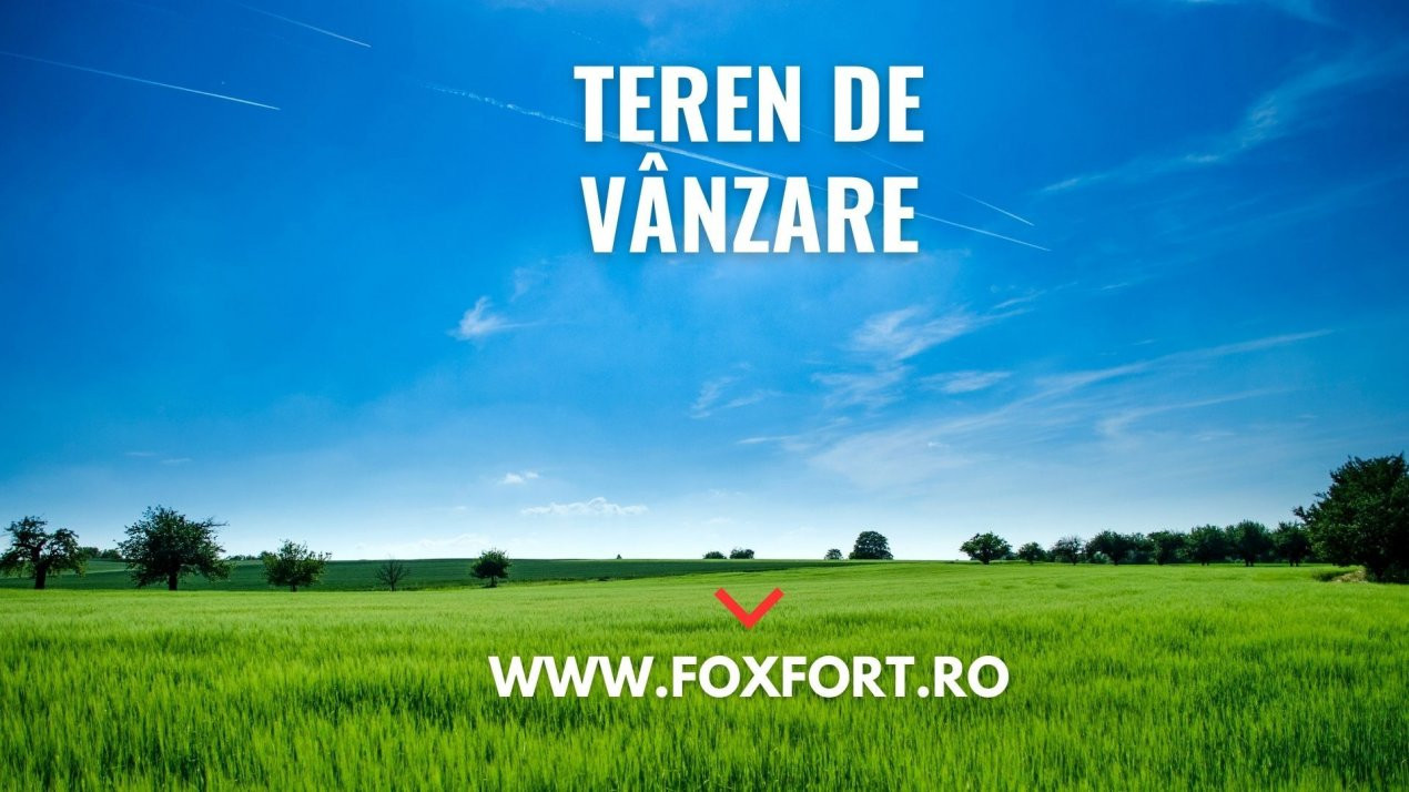 COMISION 0% Teren extravilan Mosnita in zona de Padurea Bistra - 66.667 mp 3, foxfort.ro