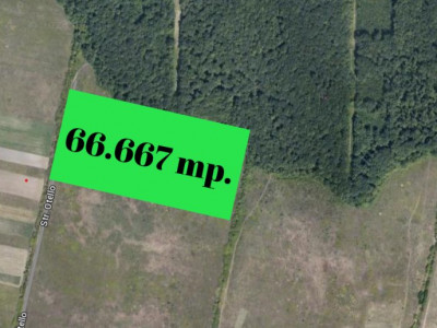 COMISION 0% Teren extravilan Mosnita in zona de Padurea Bistra - 66.667 mp