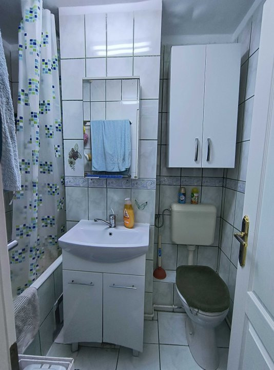 Apartamente de vanzare Timisoara 8