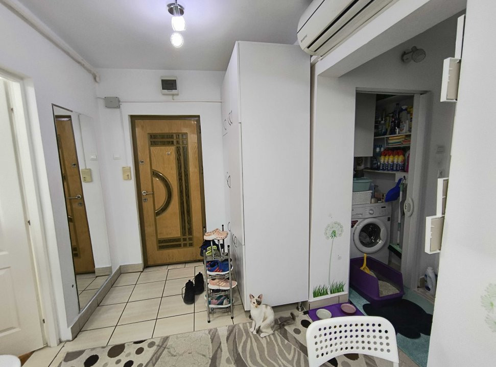 Apartamente de vanzare Timisoara 10