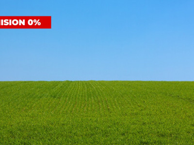 COMISION 0% Teren extravilan pentru inchiriere in Sacalaz 