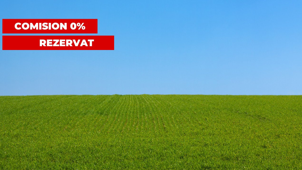 COMISION 0% Teren intravilan de vanzare in Sacalaz - Pretabil constructii  1, foxfort.ro