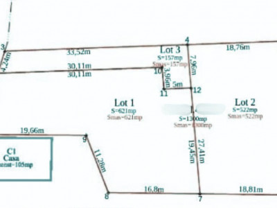 Teren intravilan de vanzare in Sacalaz - Pozitionat la sosea imagine mica 2, foxfort.ro