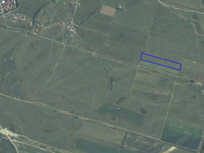 COMISION 0% Teren Extravilan Giroc, 15.000 mp, Front Stradal 47ml imagine mica 4, foxfort.ro