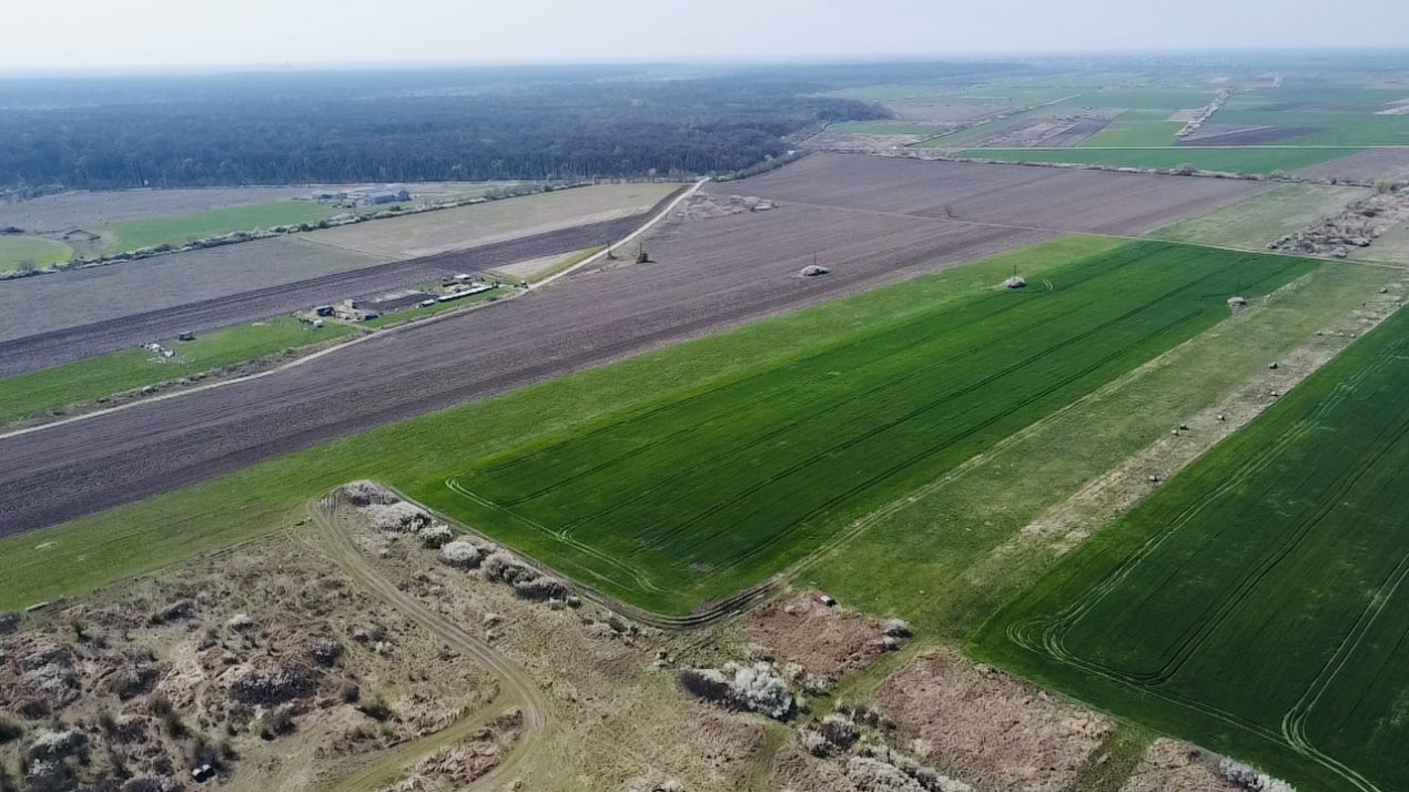 COMISION 0% Teren Extravilan 10.000 mp, Front 15,6ml, Langa Padurea Giroc 3, foxfort.ro