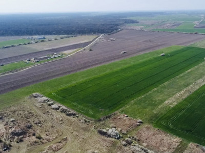 COMISION 0% Teren Extravilan 10.000 mp, Front 15,6ml, Langa Padurea Giroc imagine mica 3, foxfort.ro