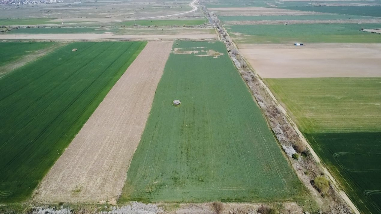 COMISION 0% Teren Extravilan 10.200 mp, Front 19ml, Giroc 1, foxfort.ro