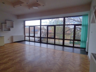 Casa individuala 6 camere- pretabil cabinet, birou-Zona Blascovici