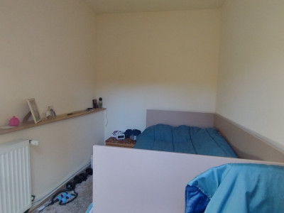 Casa individuala 3 camere - Zona Bogdanestilor imagine mica 18, foxfort.ro