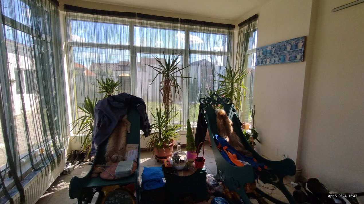 Casa individuala , Sacalaz - Curte 1730 mp 14, foxfort.ro