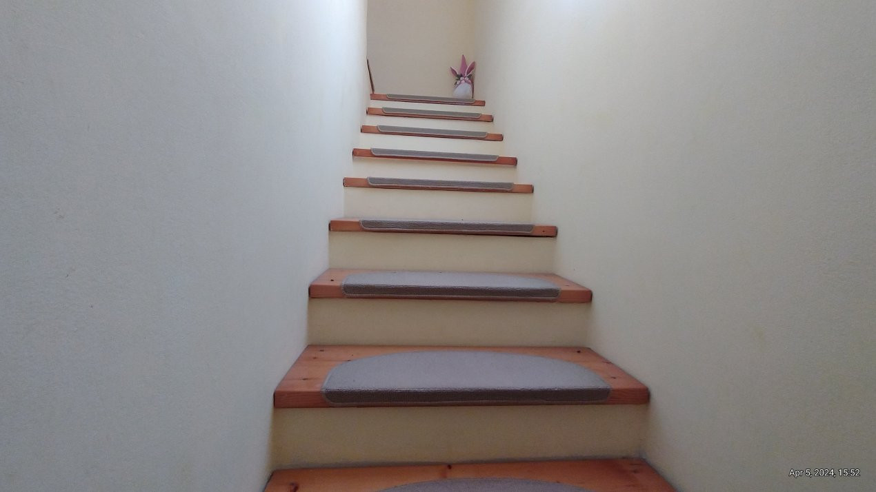 Casa individuala , Sacalaz - Curte 1730 mp 25, foxfort.ro