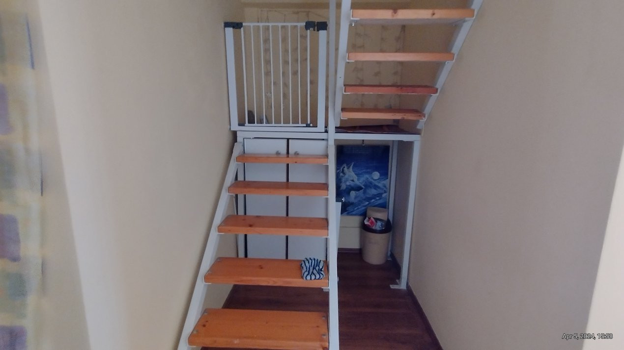 Casa individuala , Sacalaz - Curte 1730 mp 39, foxfort.ro