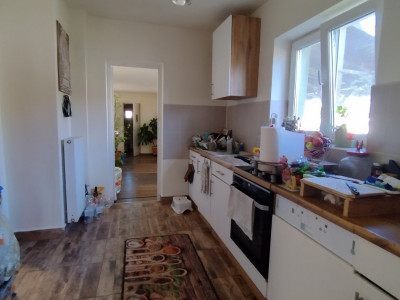 Casa individuala , Sacalaz - Curte 1730 mp imagine mica 4, foxfort.ro