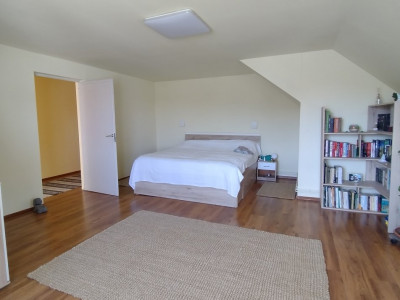 Casa individuala , Sacalaz - Curte 1730 mp imagine mica 9, foxfort.ro