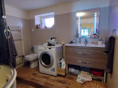 Casa individuala , Sacalaz - Curte 1730 mp imagine mica 23, foxfort.ro