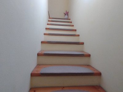 Casa individuala , Sacalaz - Curte 1730 mp imagine mica 25, foxfort.ro