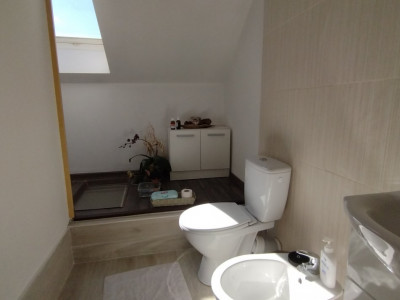 Casa individuala , Sacalaz - Curte 1730 mp imagine mica 35, foxfort.ro