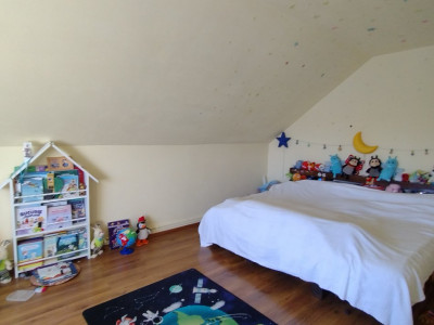 Casa individuala , Sacalaz - Curte 1730 mp imagine mica 38, foxfort.ro