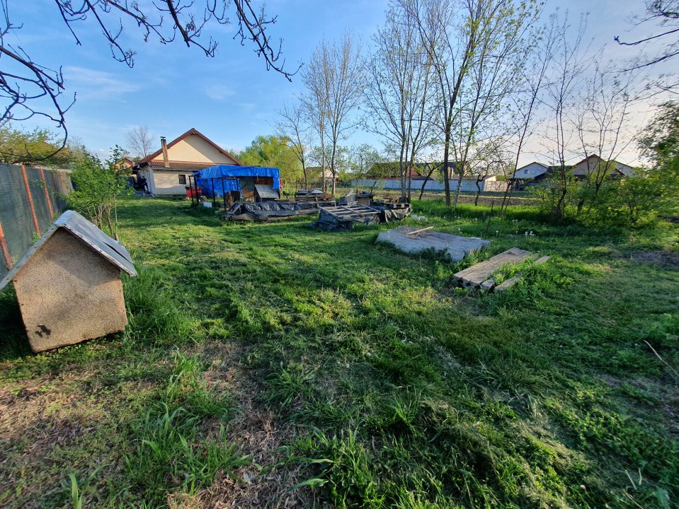 Casa individuala pe parter cu 3 dormitoare | Sanmihaiu Roman 6, foxfort.ro