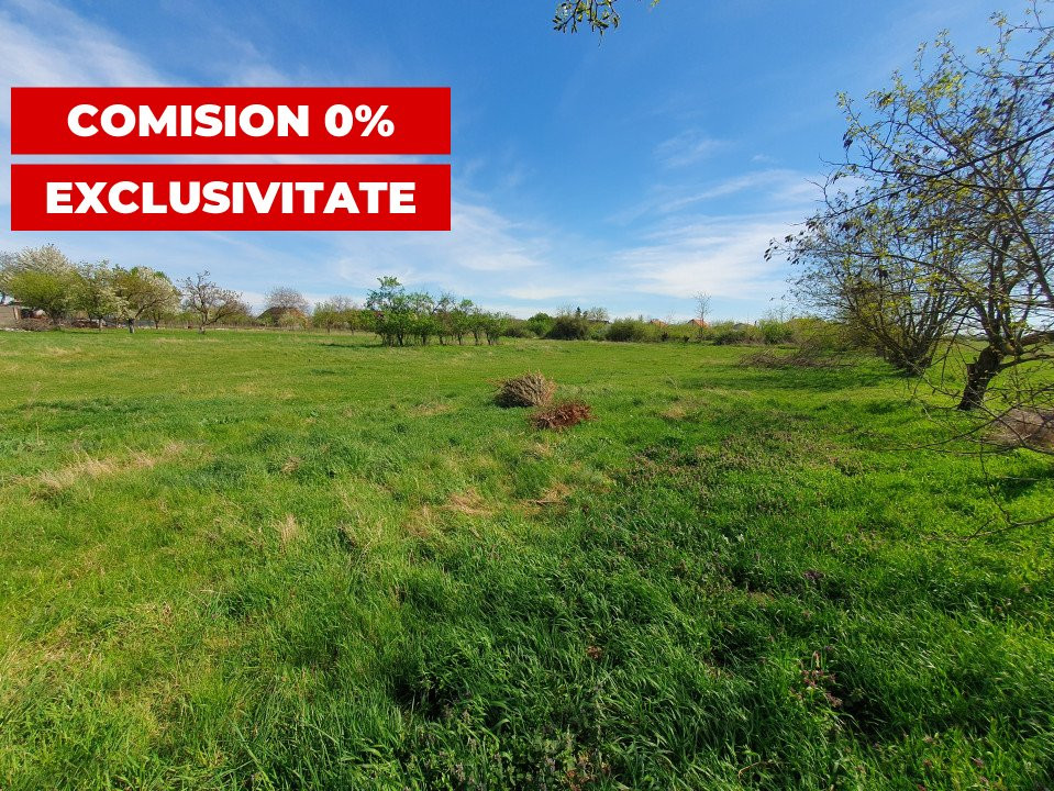 Comision 0% Teren intravilan 3000 mp in Padureni Jebel 1, foxfort.ro