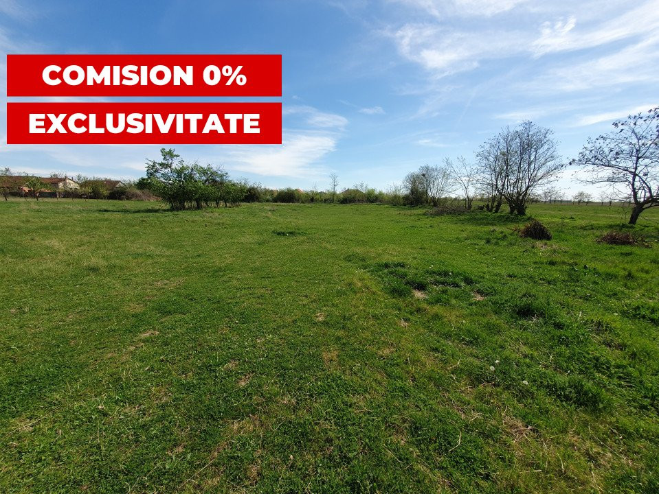 Comision 0% Teren intravilan 3000 mp in Padureni Jebel 3, foxfort.ro