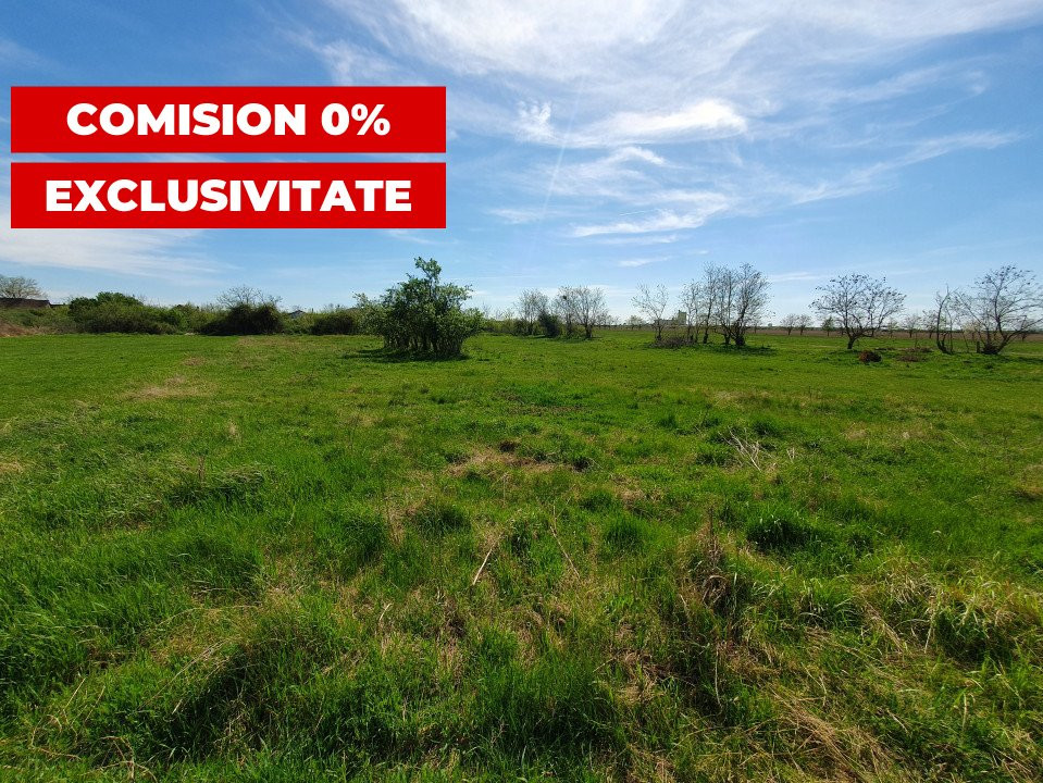 Comision 0% Teren intravilan 3000 mp in Padureni Jebel 4, foxfort.ro